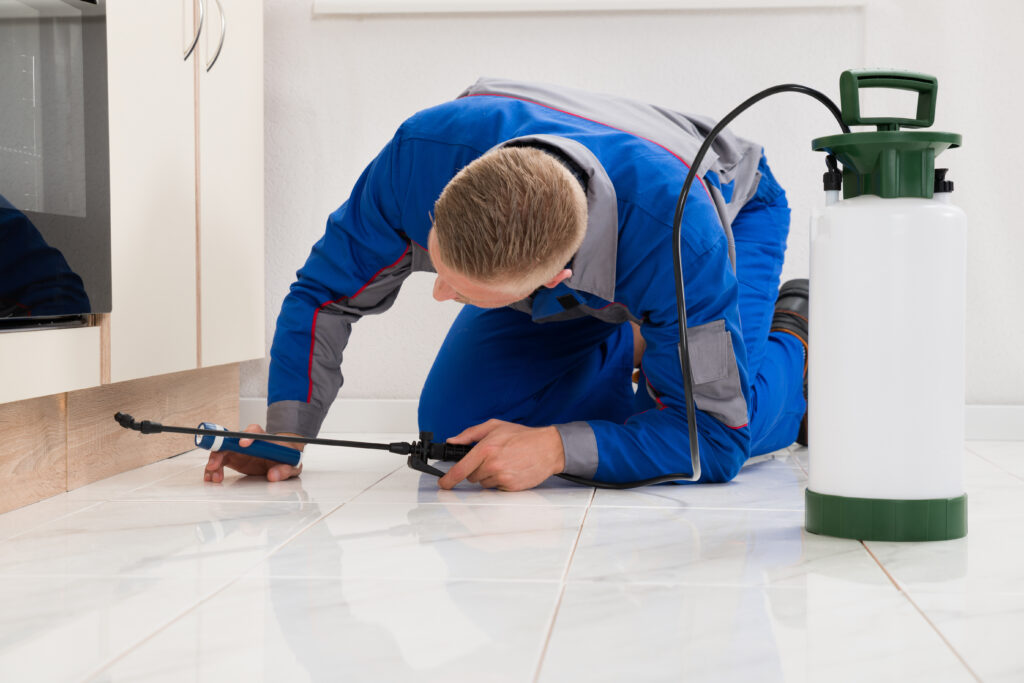 Warren Ant Control Xperts