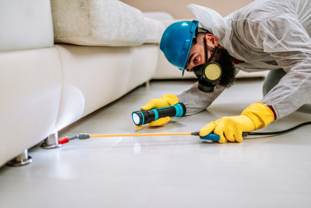 Warren Termite Control